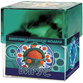 Фотография Микробиологическая модель "Вирус" [=city]